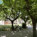 Jardins del Parc Sanitari Sant Joan de Déu