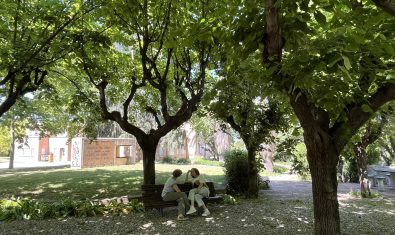 Jardins del Parc Sanitari Sant Joan de Déu