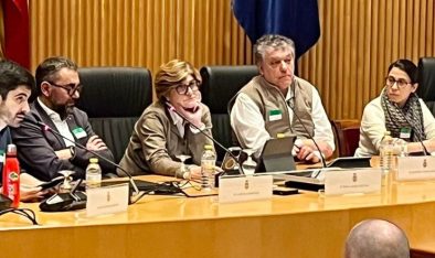 portada-gran-psico Psicodèlics, Parc Sanitari SJD