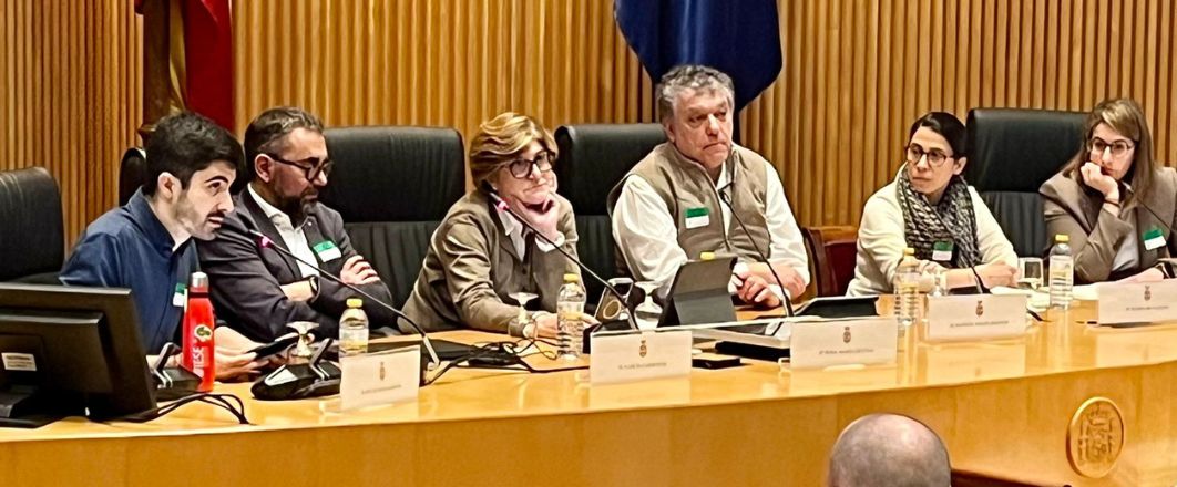 Psicodèlics, Parc Sanitari SJD