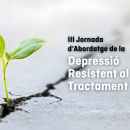 jdrt-1000-x-660-px Jornada científica sobre depressió resistent al tractament al Parc Sanitari Sant Joan de Déu