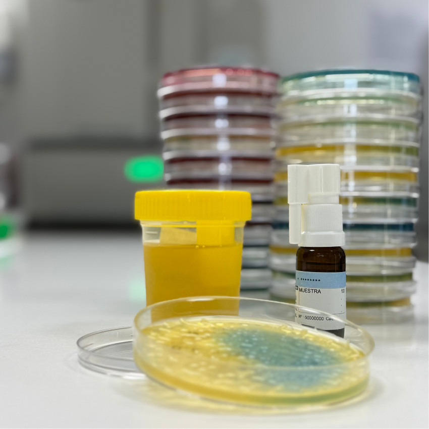 Una vacuna personalitzada posa fi a les infeccions d’orina de repetició