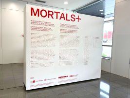 exposicio-mortals-positius-8