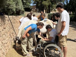 aida_equinoterapia-7 Projecte Aida